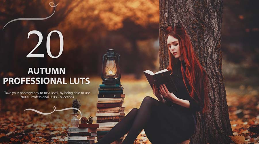 Осенняя цветокоррекция Lightroom LUT