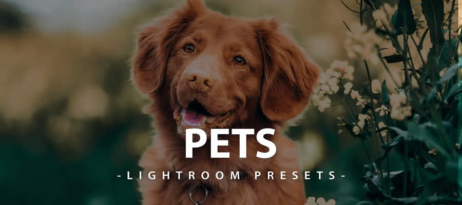 Бесплатные мобильные настройки Lightroom для домашних животных dng xmp